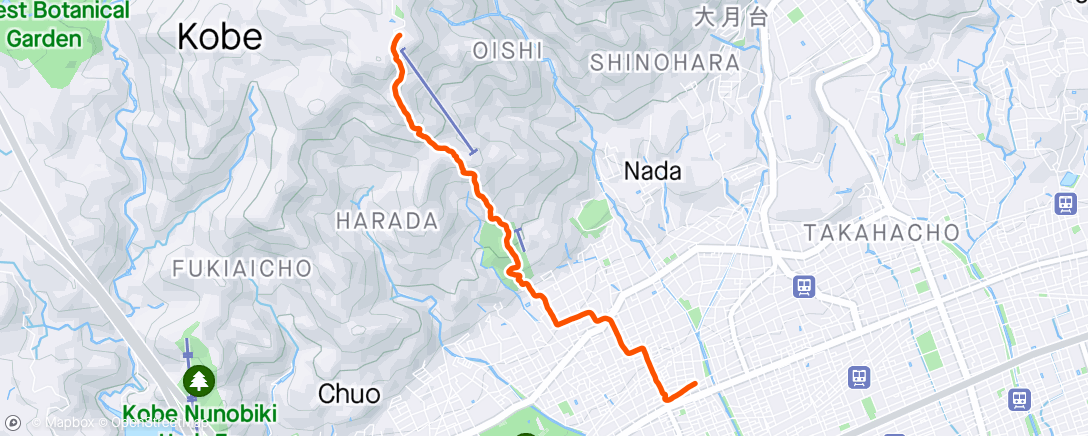 Map of the activity, afternoon trail walk
