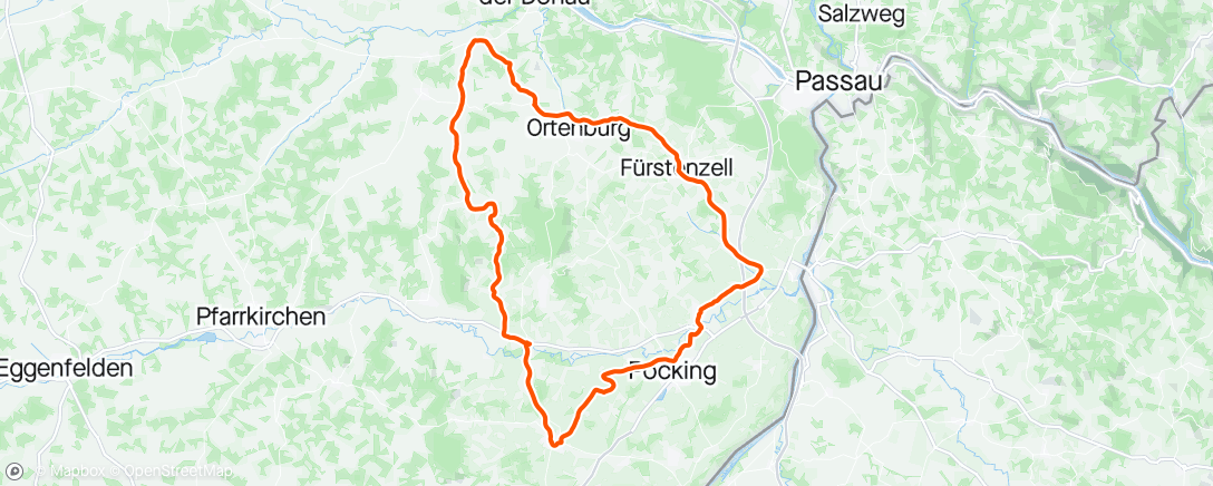 アクティビティ「R'münster-Pocking-Schärding-Ortenburg-Aunkirchen-R'münster」の地図