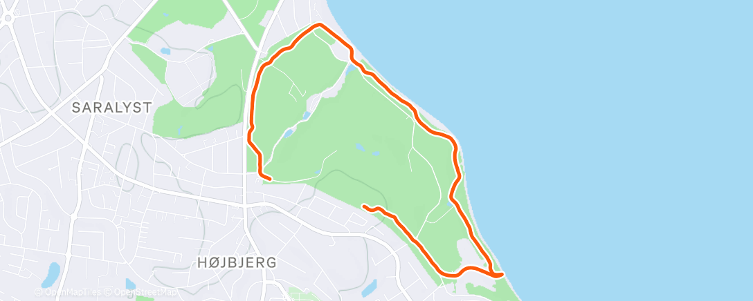 Map of the activity, Christmas run&swim🎅