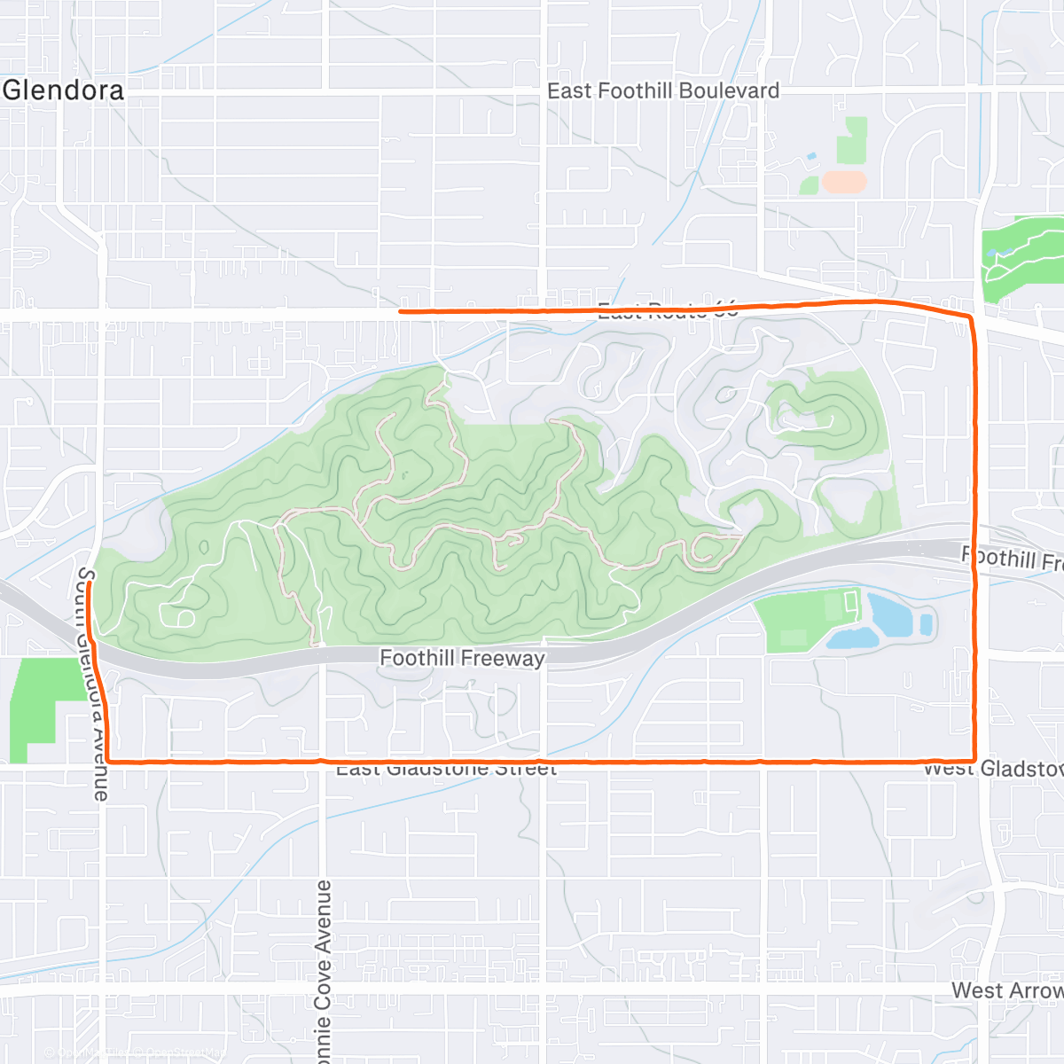 Карта физической активности (Moving The Body 🏃🏽‍♀️)