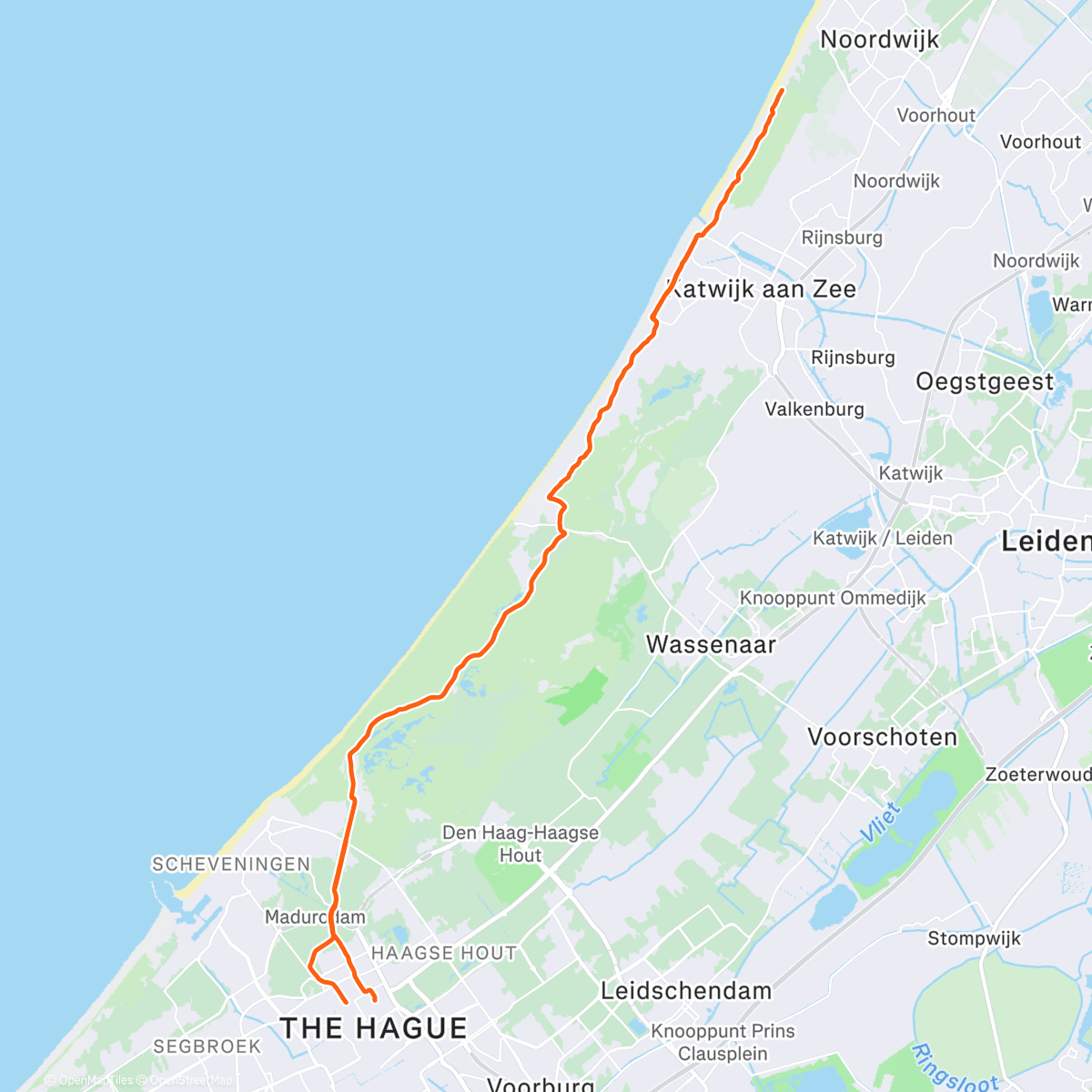 Map of the activity, On lola’s broomwagon! 🍀