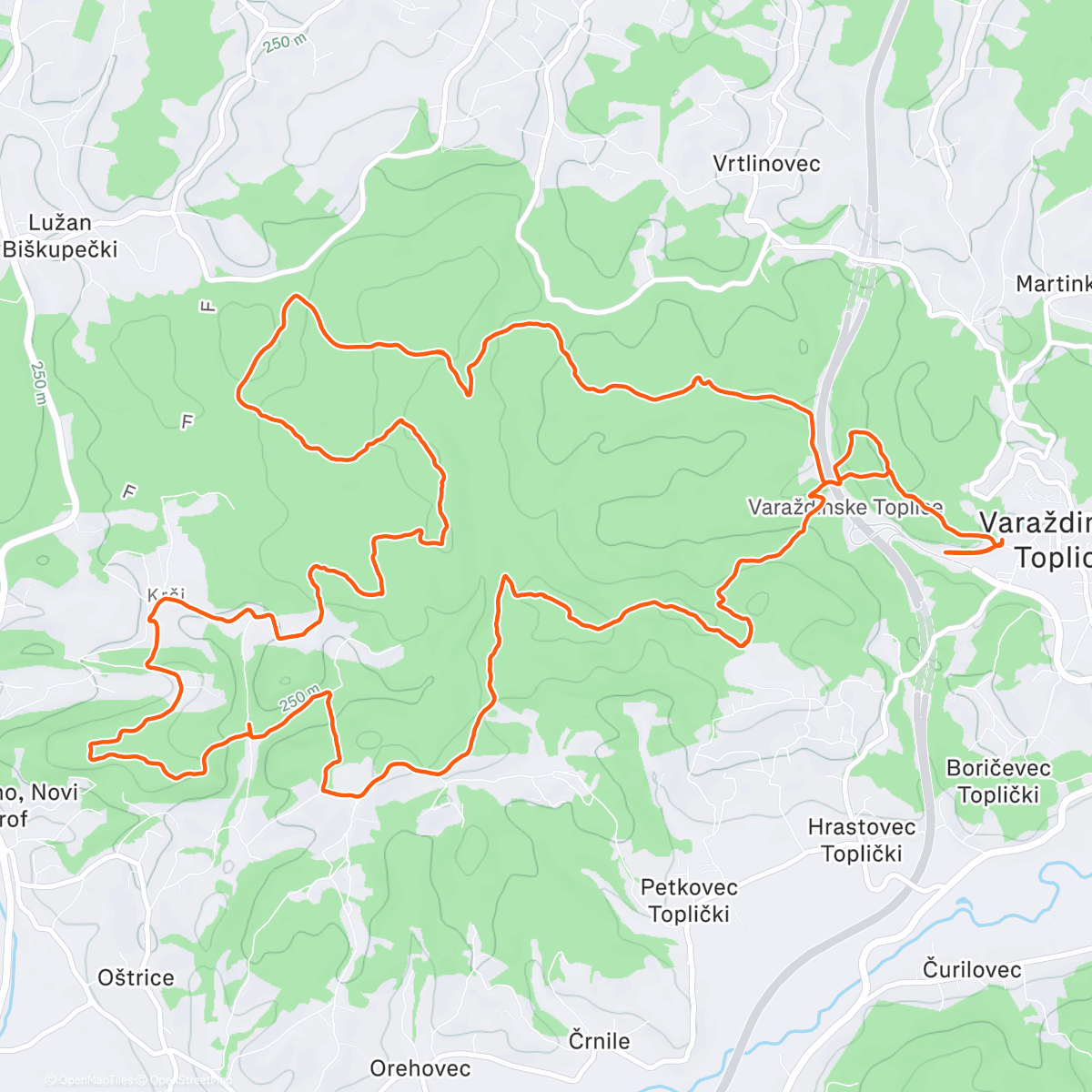 Карта физической активности (Morning Trail Run)