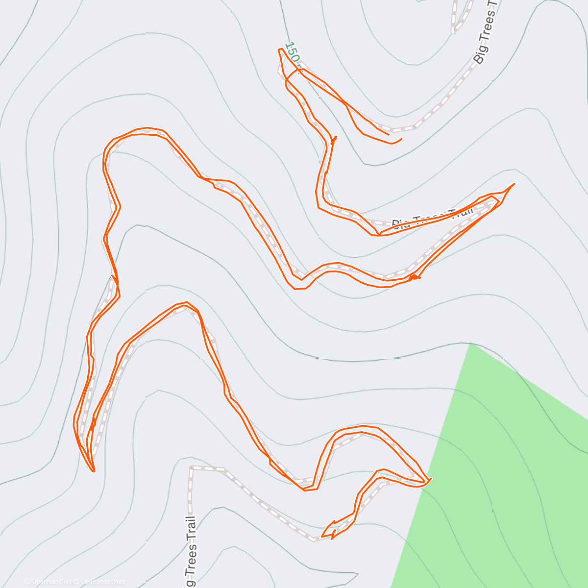 Карта физической активности (Big Trees Hike w kiddos)