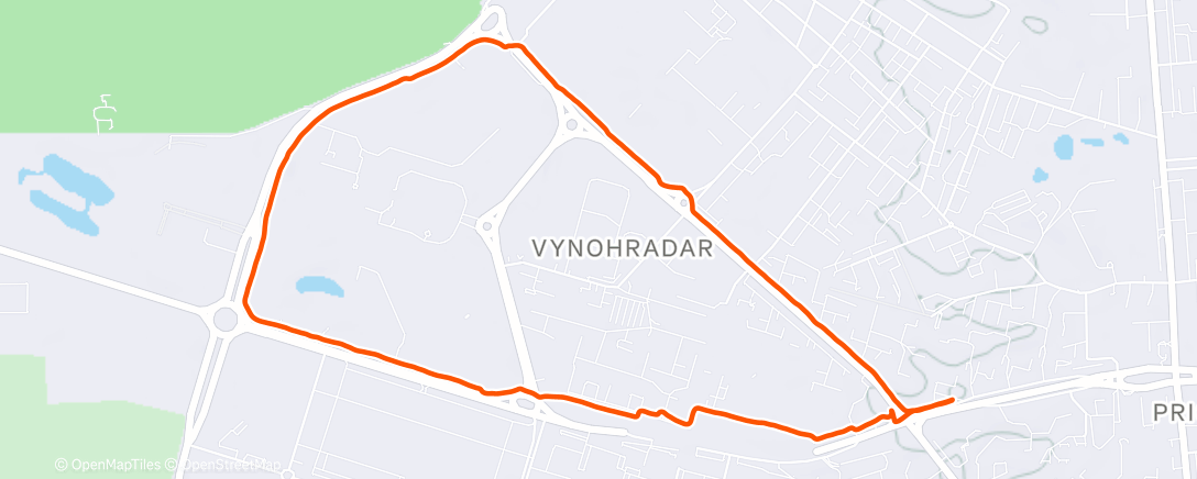 Карта физической активности (Утренний забег)