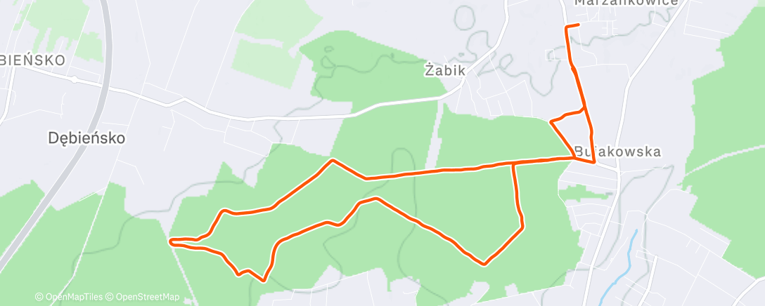 Map of the activity, Morning Run