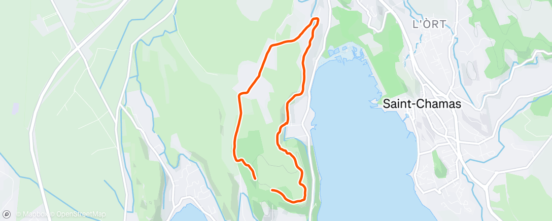 Map of the activity, Morning Walk