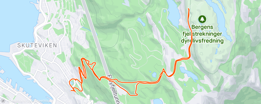 Map of the activity, Morning Trail Run