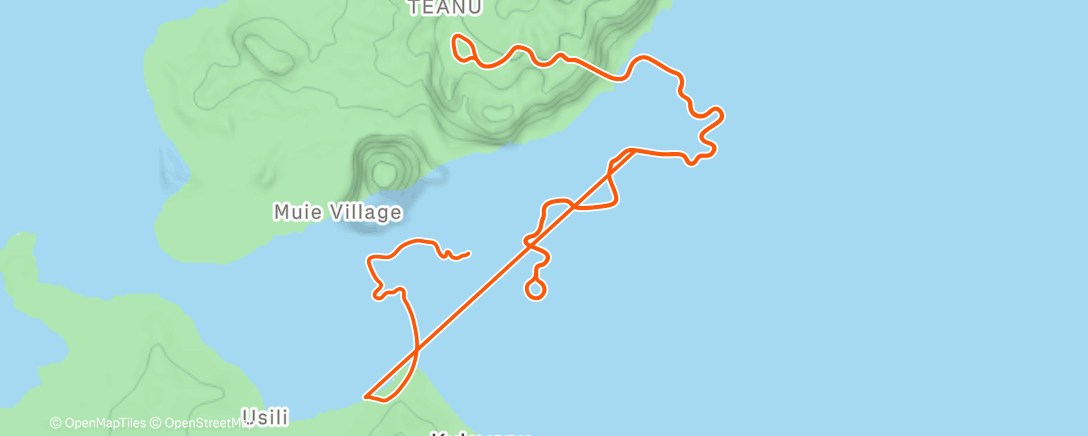 Карта физической активности (Monday Intervals)