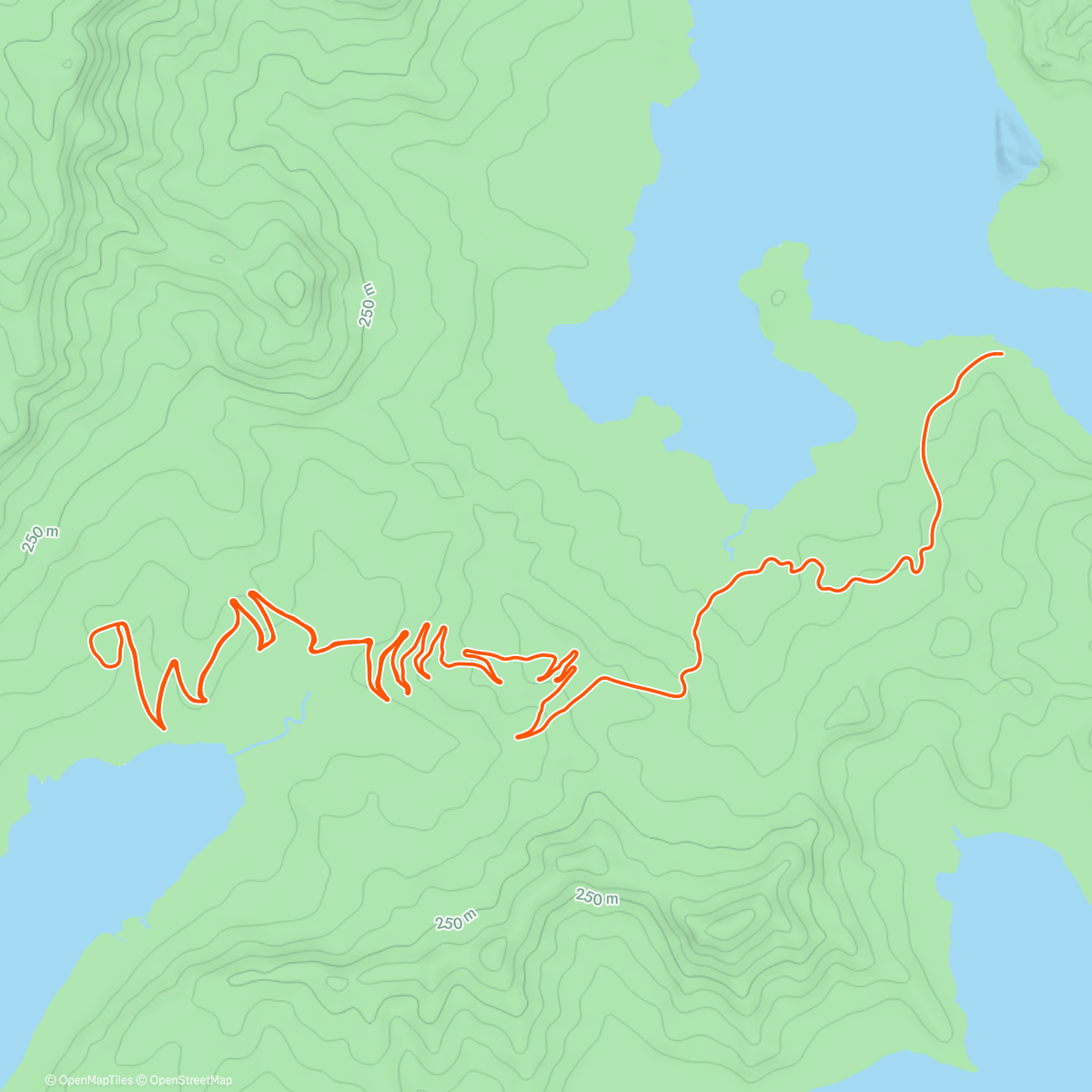 Map of the activity, Zwift - 175w on Road to Sky in Watopia