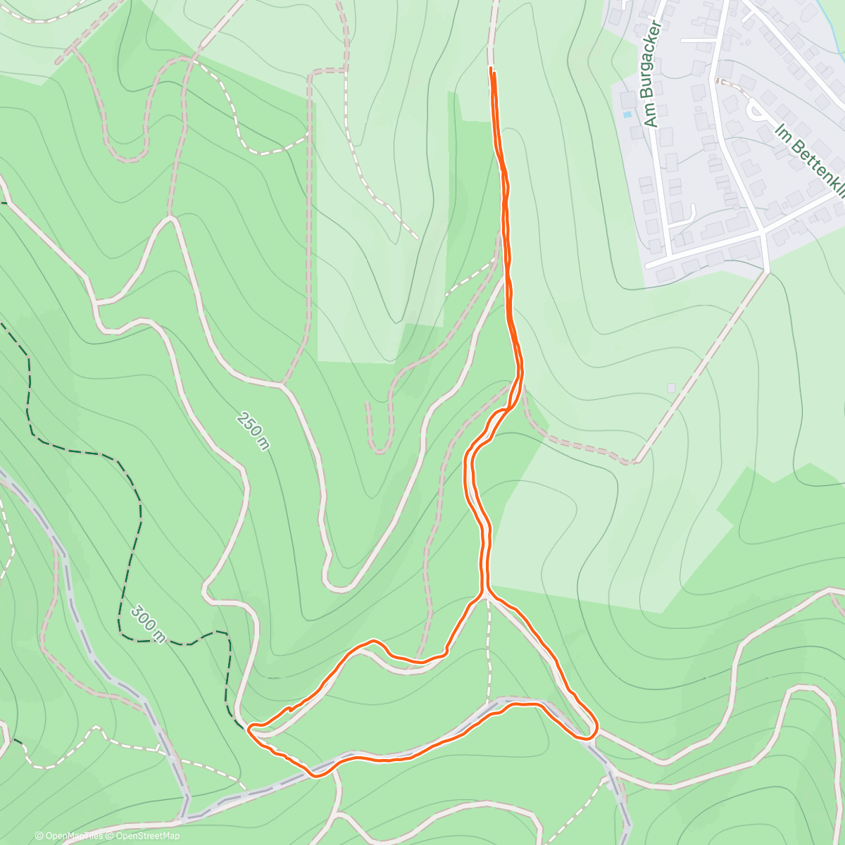 Map of the activity, Spaziergang am Nachmittag