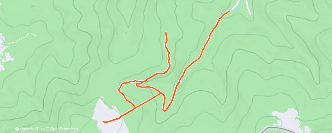 Карта физической активности (Rysianka Trail Run)