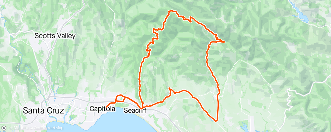 Map of the activity, Woodland Creature
