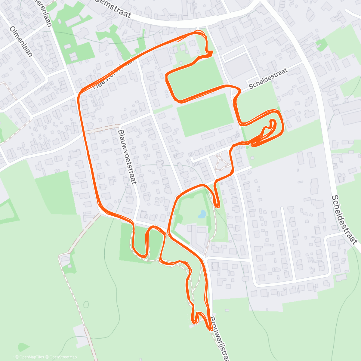 Map of the activity, Otegem, 🥈