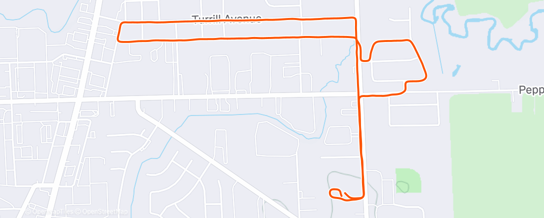 Map of the activity, Evening Run