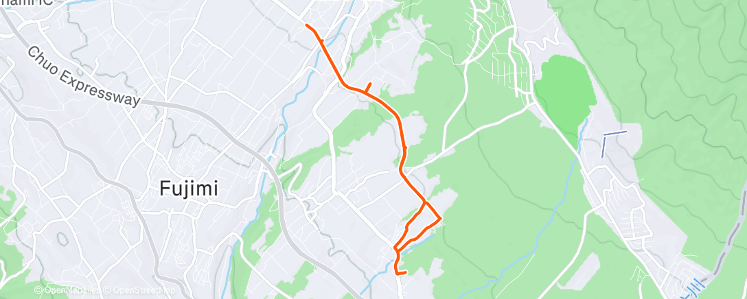 Map of the activity, Morning Run