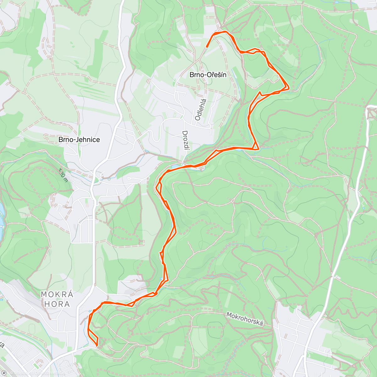 Map of the activity, Odpolední vycházka 🥶