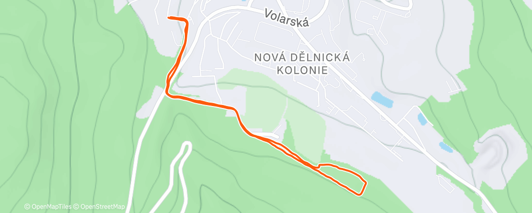 Карта физической активности (Žofka :-))