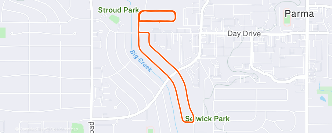 Карта физической активности (Jog)