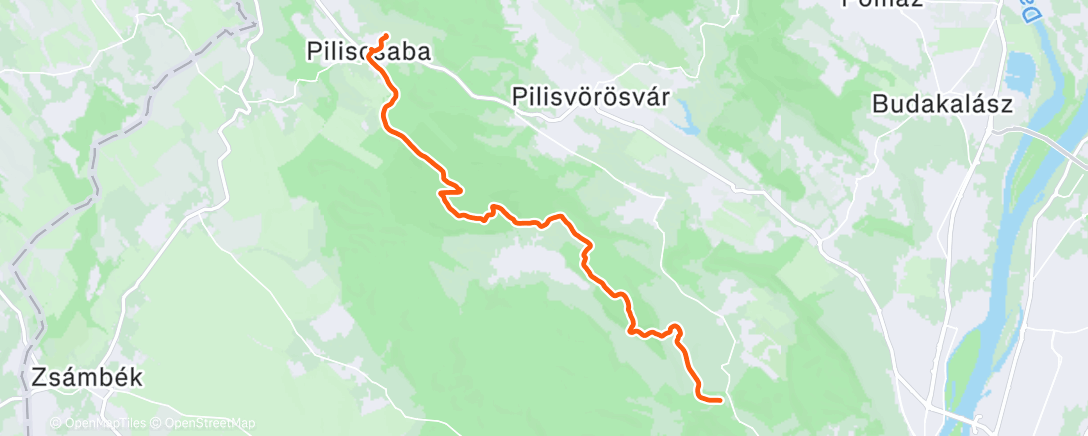 Карта физической активности (OKT-13)