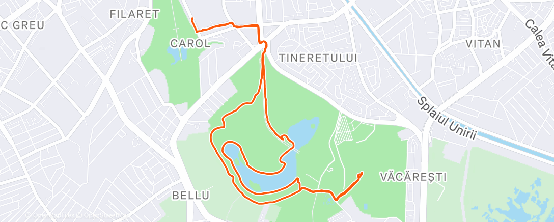 Карта физической активности (Afternoon Walk)