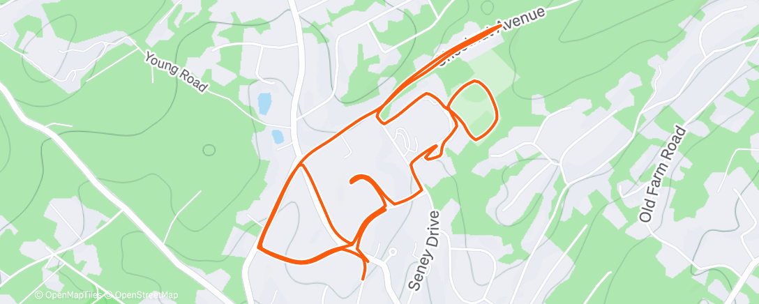 Map of the activity, Morning Run