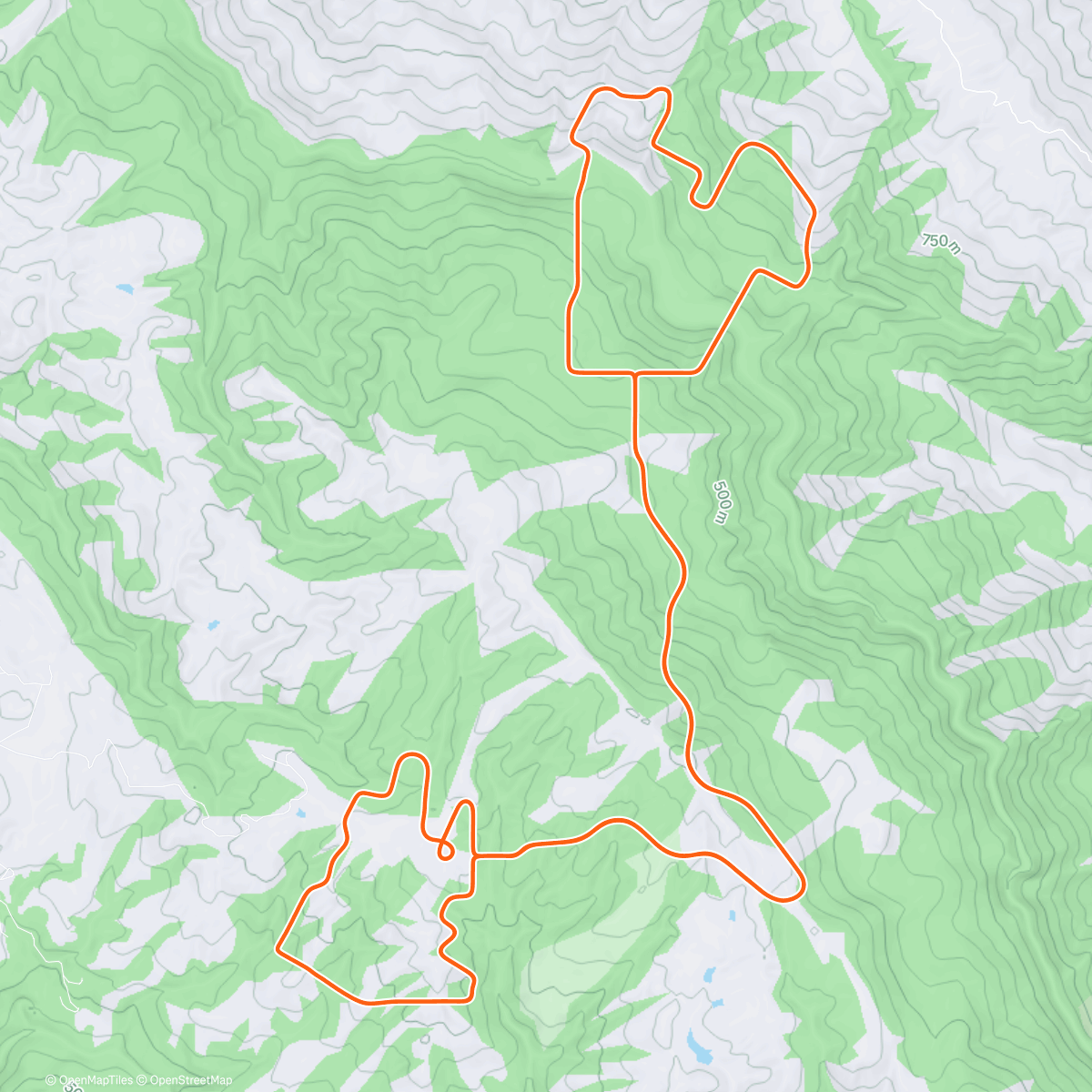 Карта физической активности (desprit)