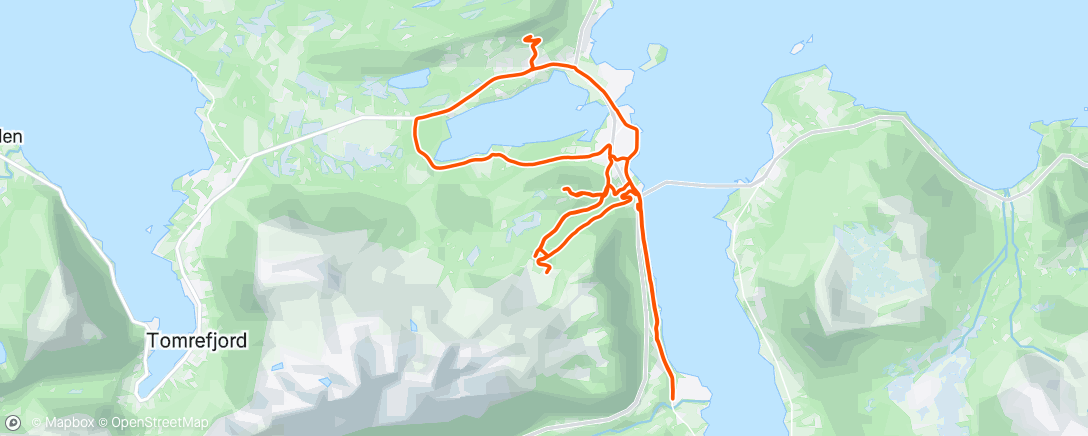 Map of the activity, Morning Trail Run