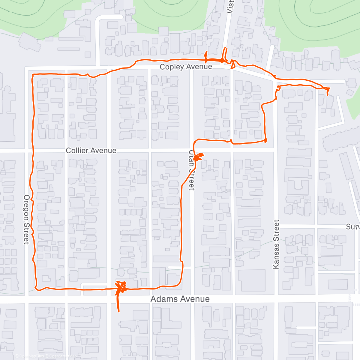 Map of the activity, Morning Walk