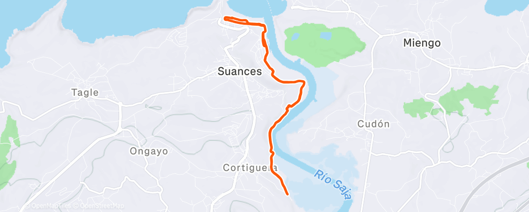 Map of the activity, Z1