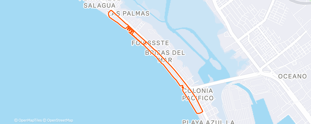 Карта физической активности (Carrera por la mañana)