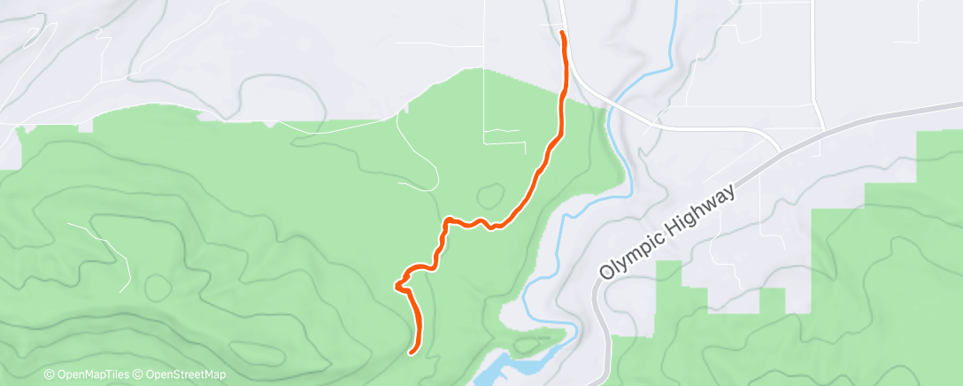 Карта физической активности (Morning Trail Run)