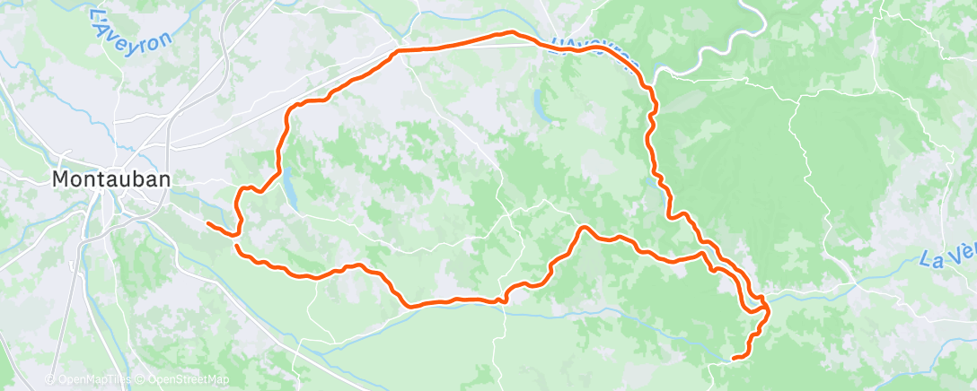 Map of the activity, 🥶🥶🐝