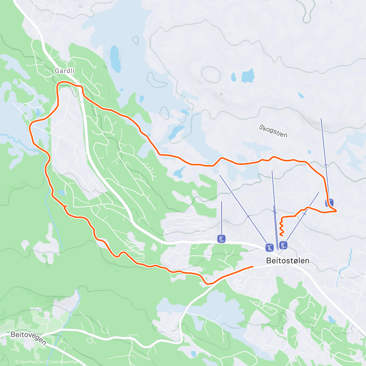 Карта физической активности (Lunch Backcountry Ski)