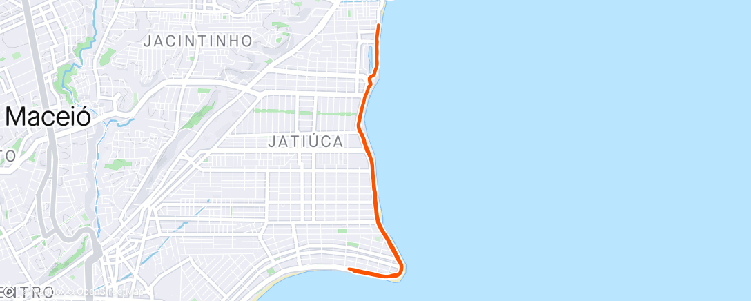 Map of the activity, Morning Run