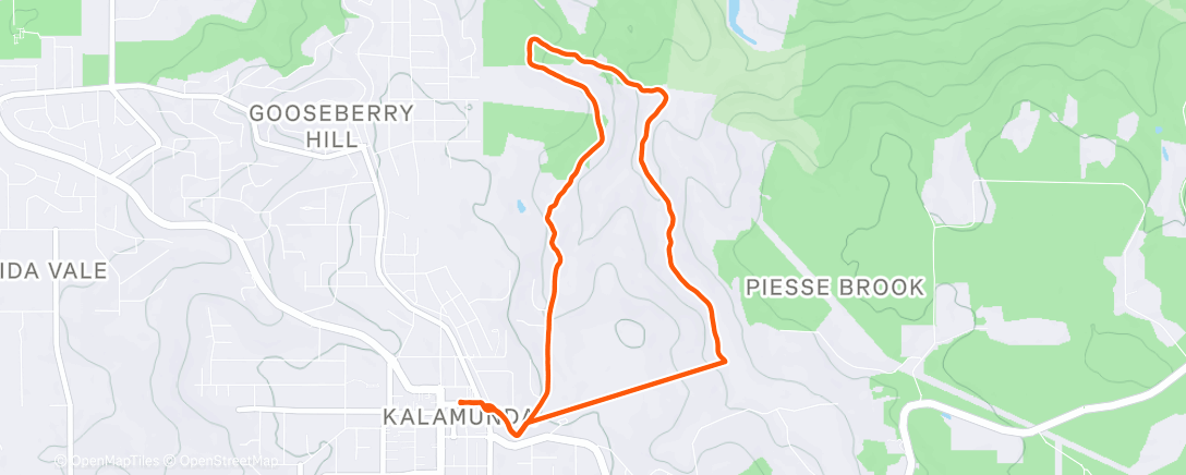 Map of the activity, Morning Trail Run