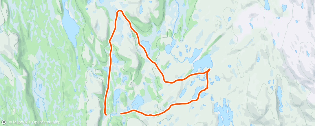 Карта физической активности (Lunch Nordic Ski)