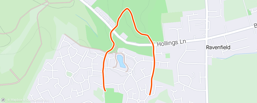 Map of the activity, Morning 🐕 Walk