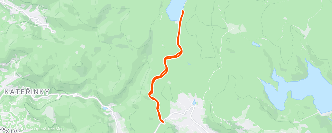 Map of the activity, Afternoon Run 🌨️❄️ se Zuzkou