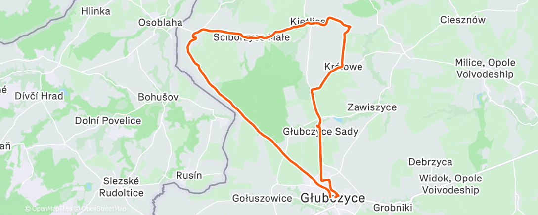 Карта физической активности (107/2025
Afternoon Mountain Bike Ride)