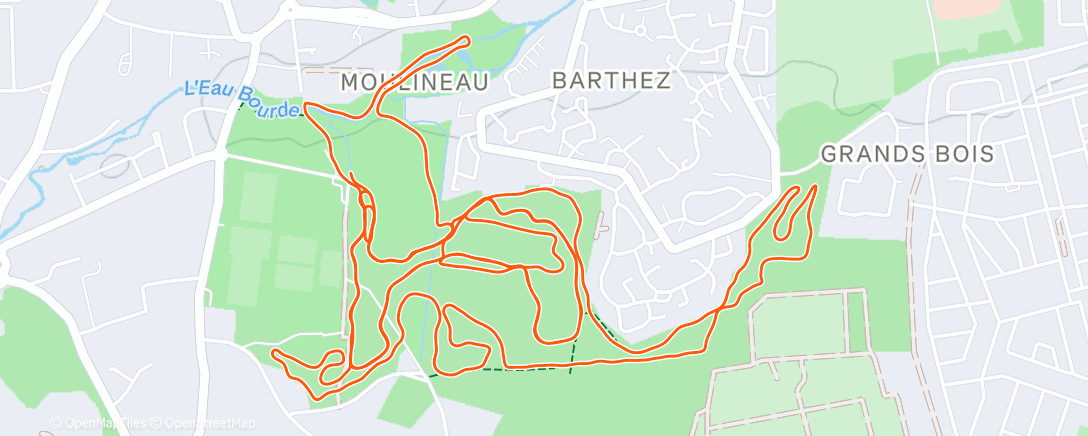 Map of the activity, S7-E2 | 🎗️OncoRun🎗️
Goodbye my love 💚