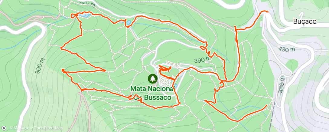 Map of the activity, Passeio em família pelo parque do bussaco