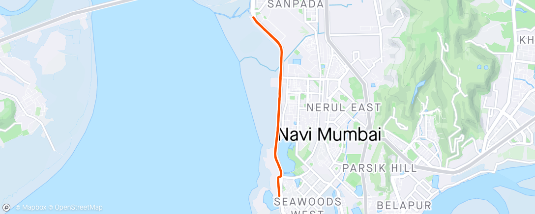 Map of the activity, 10k marathon