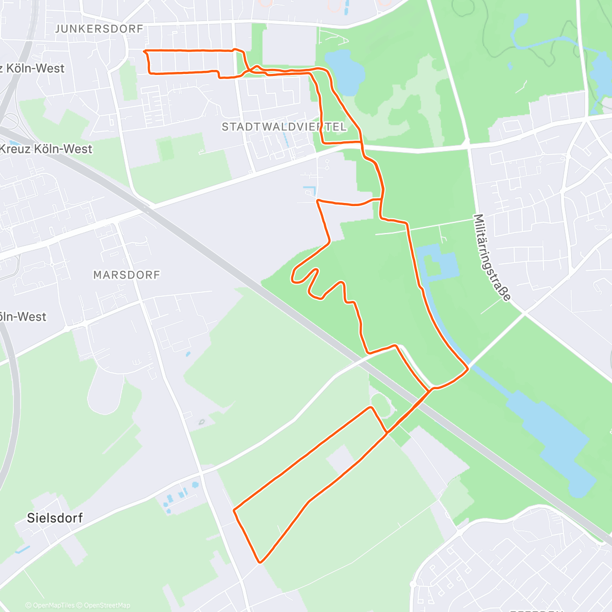 Карта физической активности (Easy 🥰)