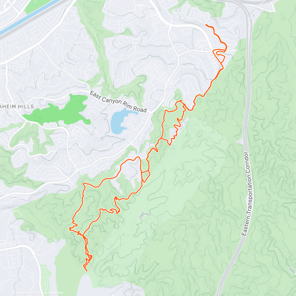 Карта физической активности (Morning Mountain Bike Ride)