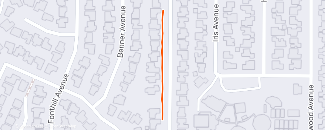 Карта физической активности (Afternoon Walk)