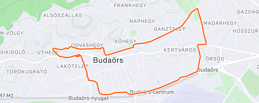 Карта физической активности (Morning Run)