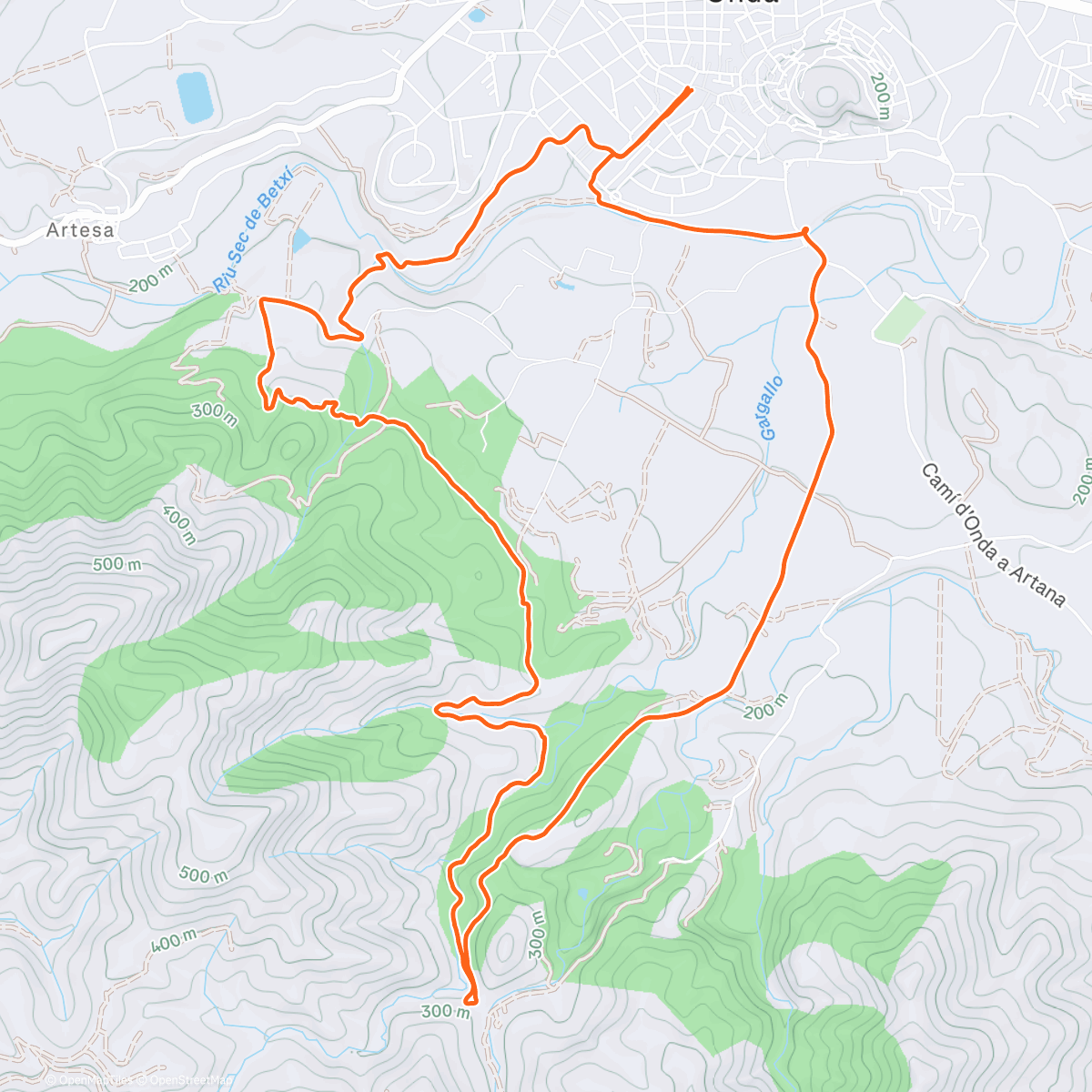 Карта физической активности (🥇San silvestre trail Onda)