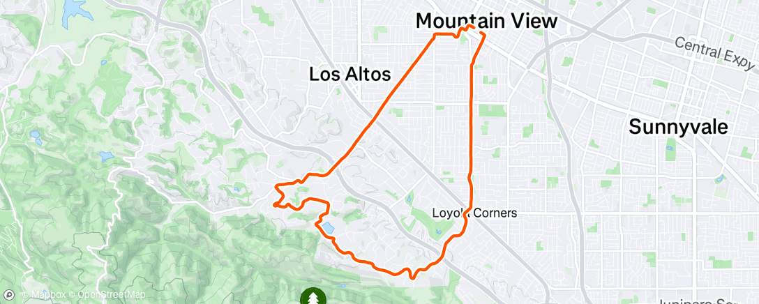 Map of the activity, Morning Run