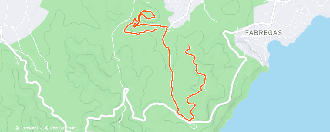 Map of the activity, Trail dans l'après-midi