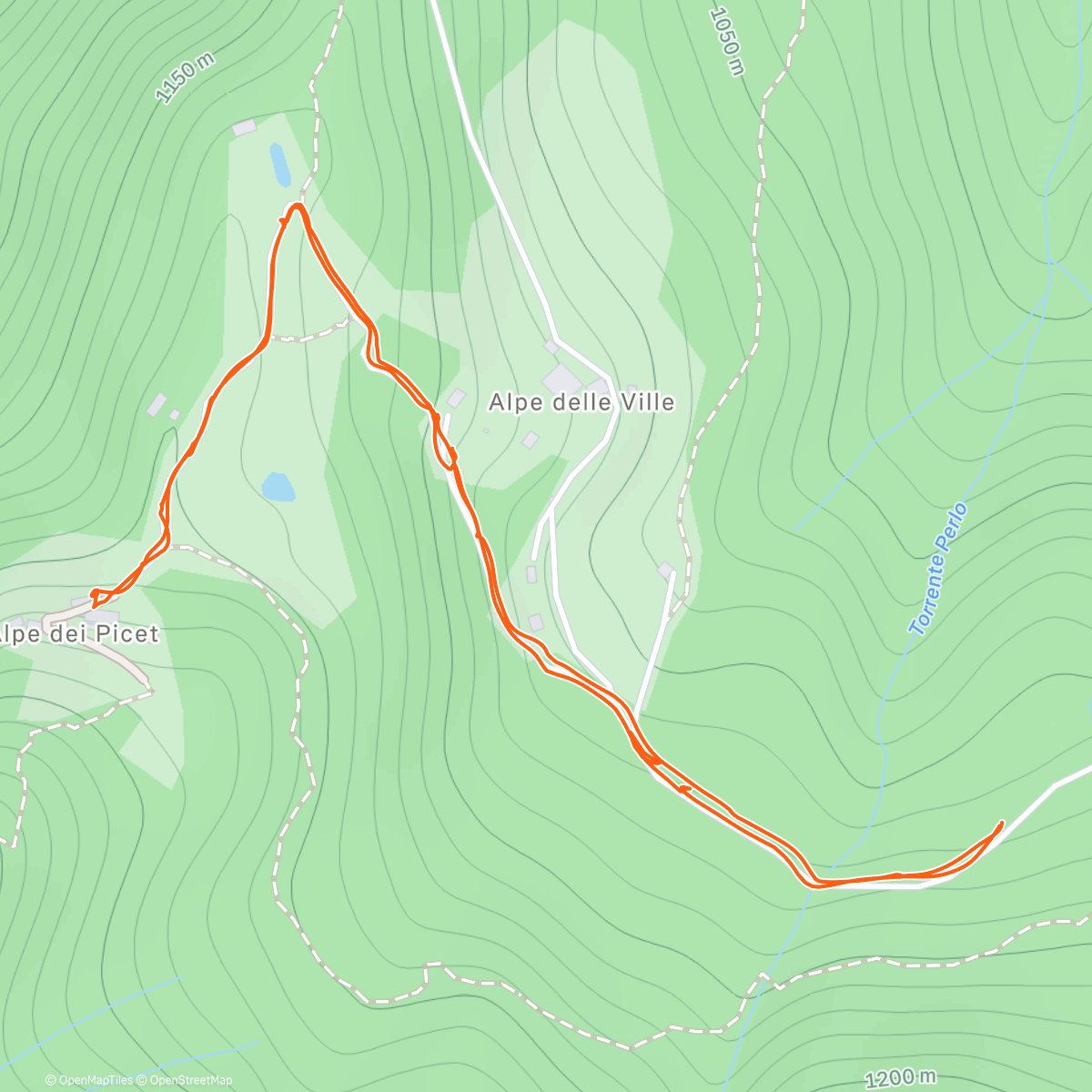 Map of the activity, Rif. Martina tutti quanti